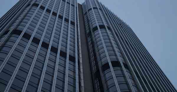 橡树加速器